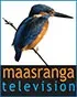 Maasranga TV - All Bangla Newspaper