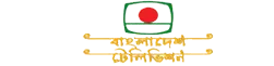 BTV - All Bangla Newspaper