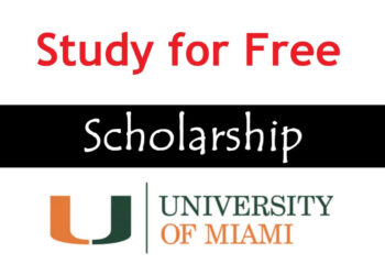 Study for Free at the University of Miami: Everything You Need to Know About the Stamps Scholarship