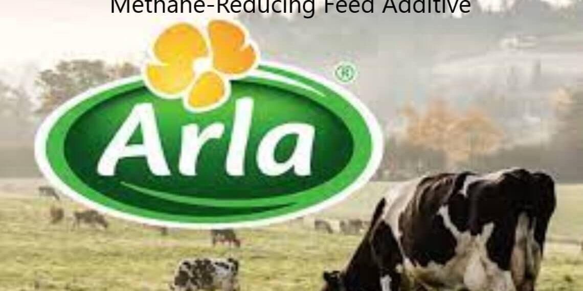 Arla Foods Faces Backlash Over Controversial Methane-Reducing Feed Additive: Should Consumers Boycott?