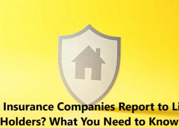 Do Insurance Companies Report to Lien Holders? What You Need to Know