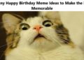 Funny Happy Birthday Meme Ideas to Make the Day Memorable