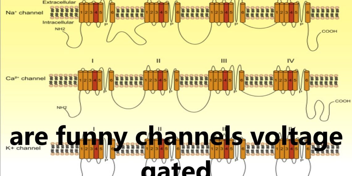 Are Funny Channels Voltage Gated? Understanding the Mechanism Behind This Phenomenon