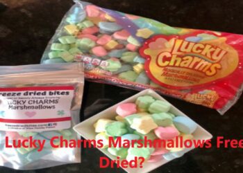 Are Lucky Charms Marshmallows Freeze-Dried? Exploring the Truth Behind the Iconic Cereal Treats