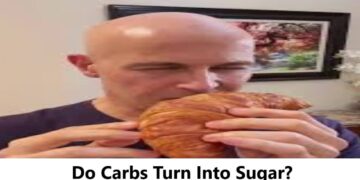 Do Carbs Turn Into Sugar? Understanding the Relationship Between Carbohydrates and Blood Sugar