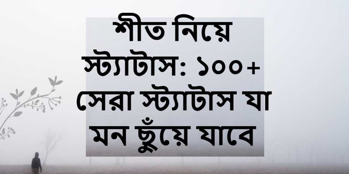 শীত নিয়ে স্ট্যাটাস: ১০০+ সেরা স্ট্যাটাস যা মন ছুঁয়ে যাবে