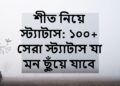 শীত নিয়ে স্ট্যাটাস: ১০০+ সেরা স্ট্যাটাস যা মন ছুঁয়ে যাবে