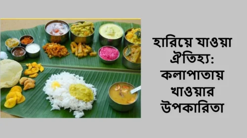 হারিয়ে যাওয়া ঐতিহ্য: কলাপাতায় খাওয়ার উপকারিতা