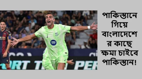 পাকিস্তানে গিয়ে বাংলাদেশের কাছে ক্ষমা চাইবে পাকিস্তান!