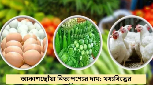 আকাশছোঁয়া নিত্যপণ্যের দাম: মধ্যবিত্তের নাভিশ্বাস!
