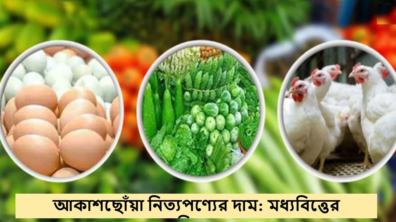 আকাশছোঁয়া নিত্যপণ্যের দাম: মধ্যবিত্তের নাভিশ্বাস!