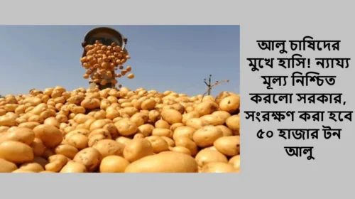 আলু চাষিদের মুখে হাসি! ন্যায্য মূল্য নিশ্চিত করলো সরকার, সংরক্ষণ করা হবে ৫০ হাজার টন আলু