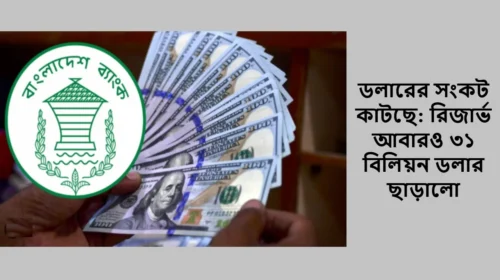 ডলারের সংকট কাটছে: রিজার্ভ আবারও ৩১ বিলিয়ন ডলার ছাড়ালো