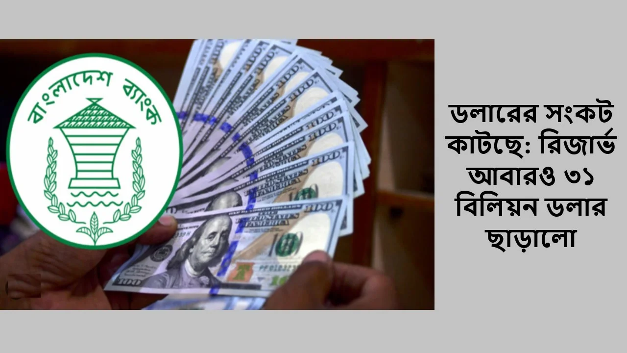 ডলারের সংকট কাটছে: রিজার্ভ আবারও ৩১ বিলিয়ন ডলার ছাড়ালো