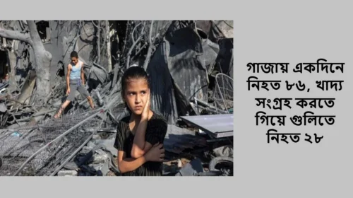 গাজায় একদিনে নিহত ৮৬, খাদ্য সংগ্রহ করতে গিয়ে গুলিতে নিহত ২৮
