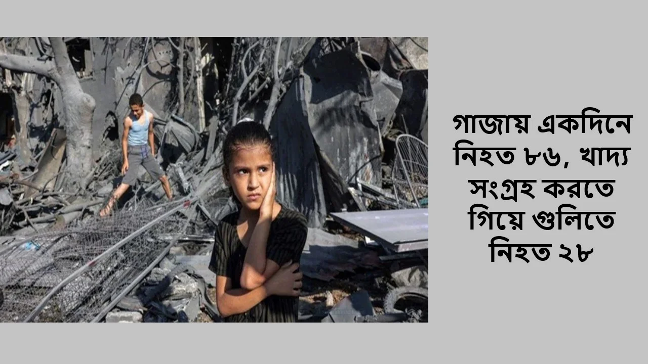 গাজায় একদিনে নিহত ৮৬, খাদ্য সংগ্রহ করতে গিয়ে গুলিতে নিহত ২৮