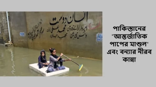 পাকিস্তানের 'আন্তর্জাতিক পাপের মাশুল' এবং বন্যার নীরব কান্না