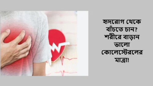 হৃদরোগ থেকে বাঁচতে চান? শরীরে বাড়ান ভালো কোলেস্টেরলের মাত্রা!