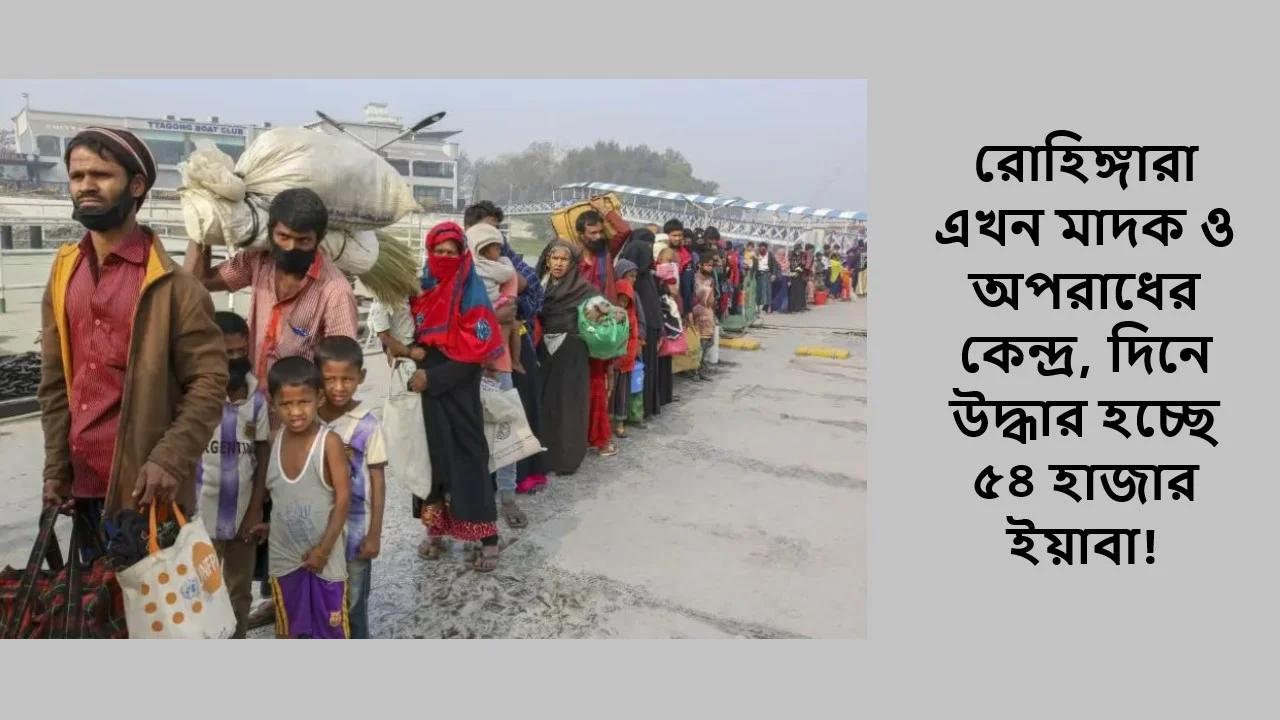 রোহিঙ্গারা এখন মাদক ও অপরাধের কেন্দ্র, দিনে উদ্ধার হচ্ছে ৫৪ হাজার ইয়াবা!