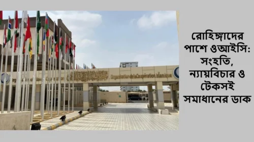 রোহিঙ্গাদের পাশে ওআইসি: সংহতি, ন্যায়বিচার ও টেকসই সমাধানের ডাক