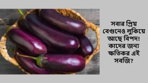 সবার প্রিয় বেগুনেও লুকিয়ে আছে বিপদ! কাদের জন্য ক্ষতিকর এই সবজি?