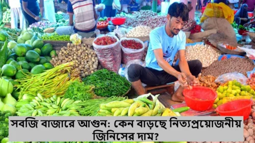 সবজি বাজারে আগুন: কেন বাড়ছে নিত্যপ্রয়োজনীয় জিনিসের দাম?